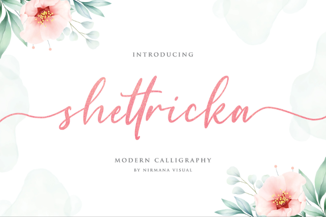 19. Shettricka