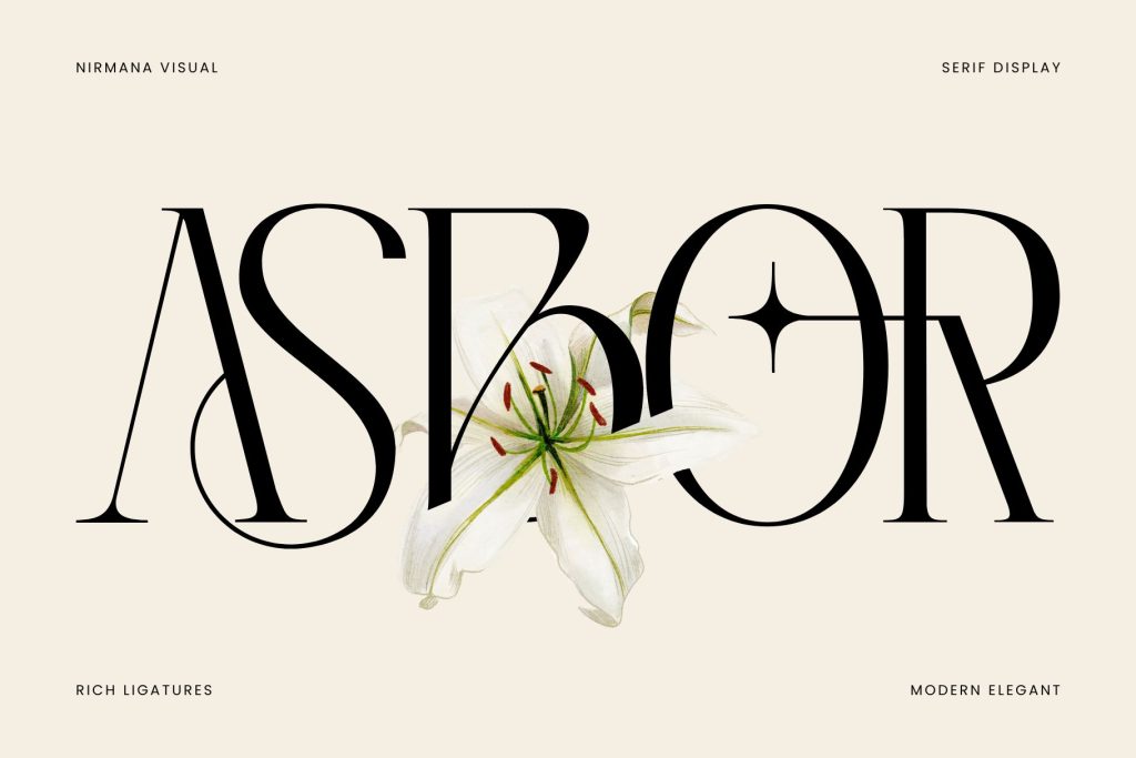 7. Asbor Fashion